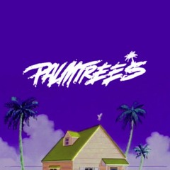Palm Trees - Flatbush Zombies INSTRUMENTAL REMAKE