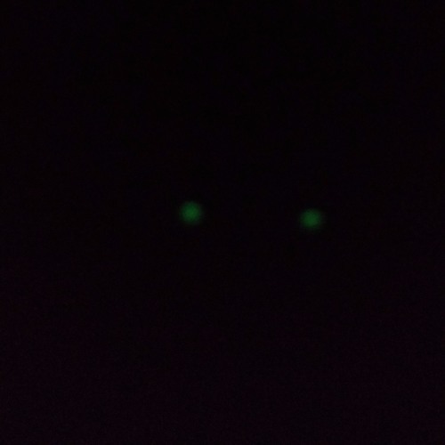 The Watcher