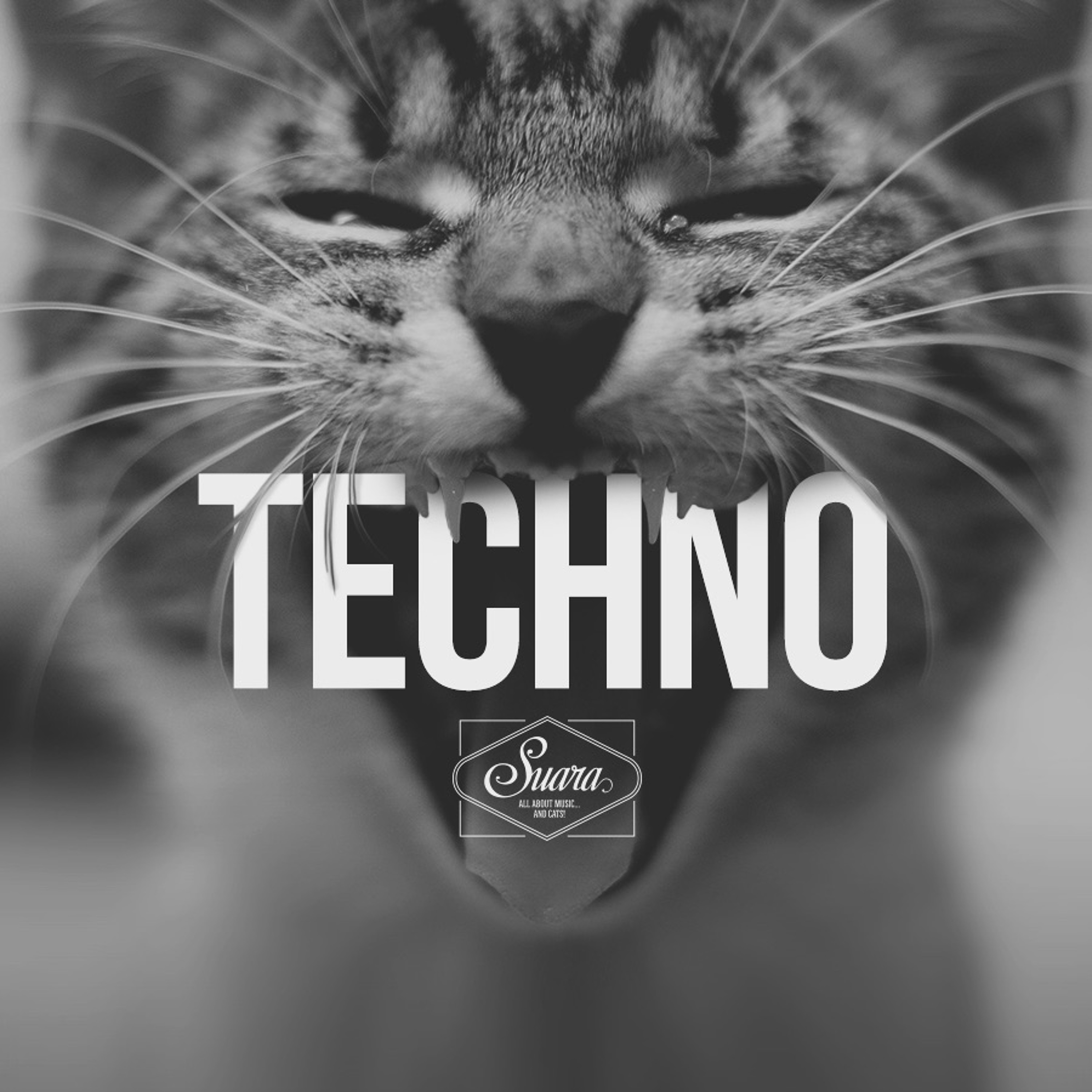 K F Rodriguez - Techno Y Empernadas episode artwork