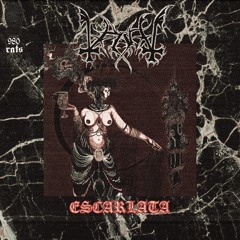 VlUV//ESCARLATA. Prod.Steph Reed.