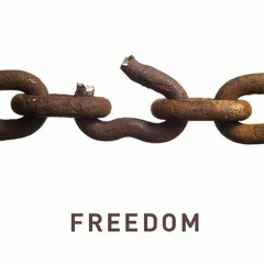 Tiempo de Libertad