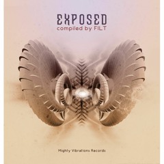 VA - Exposed, Compiled By Filt (VA Preview - Out now on BandCamp & Ektoplazm)