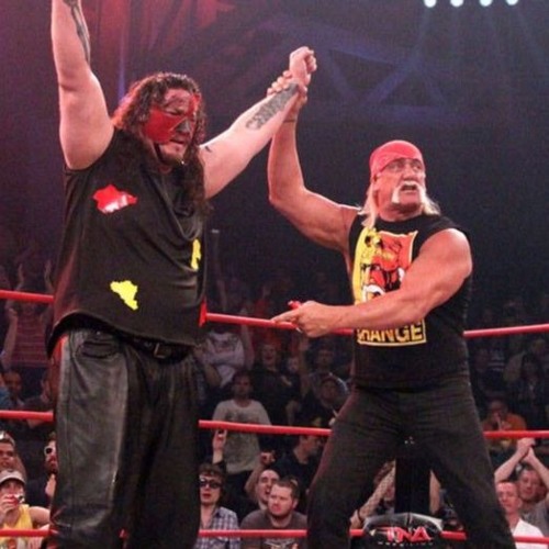 hulk hogan muñeco