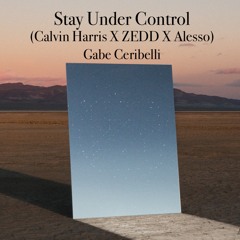 Stay Under Control (Calvin Harris X ZEDD X Alesso)