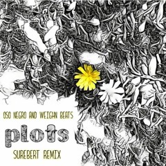 Oso Negro & Weighn Beats - Plots (Surebert Remix)