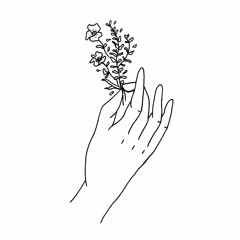 ｔｈｅ ｗａｌｌｆｌｏｗｅｒ