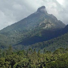 Mount Warning