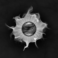 Juan Cristóbal | No Sabemos Nada (Nativo Sesiones Acústicas)