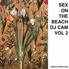 Sex On The Beach Vol 2 by Dj Cam (The Polina Edition)