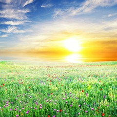 Ron Gelinas - Fluttering Meadow [ROYALTY FREE MUSIC]