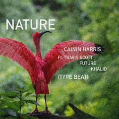 "Nature" Calvin Harris Ft. Travis Scott X Future X Khalid (Type Beat)