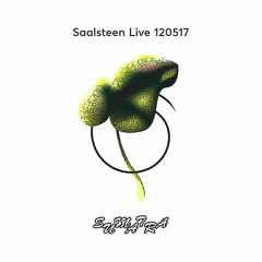 Saalsteen Live 120517 @ Bassoradio