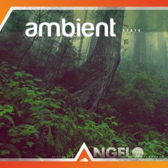 ∴ ᴀ ᴍ ʙ ɪ ᴇ ɴ ᴛ ∴ s ᴛ ᴀ ᴛ ᴇ ∴