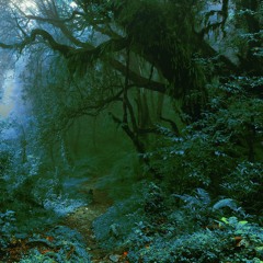 Killflavour "Word As Shape" (Snippet)