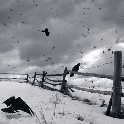 ScottyBoiiz - Richie Beats Ft Peter Gundry - Let It Go