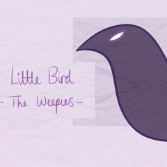 The Weepies - Little Bird Cover