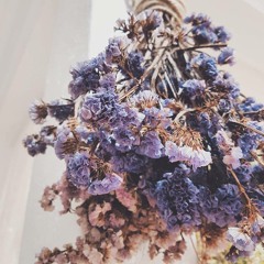 05. *Bonus Track* Love Hurts 愛殤RAP改编版 — 董貞 "花千骨" 主題曲(with eng translation on description)