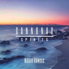 Cannonau Spirits - 03 - Just Silvia