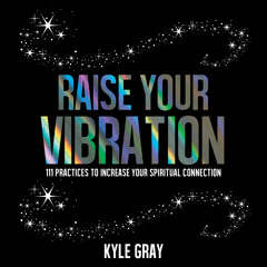 Raise Your Vibration by Kyle Gray - Feel the Vibes
