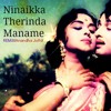 Ninaikka Therintha Maname Simple REMIX