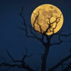 KILLING MOON w/ SUMMERS