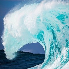Splash