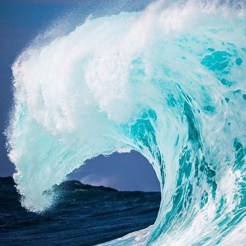 Splash