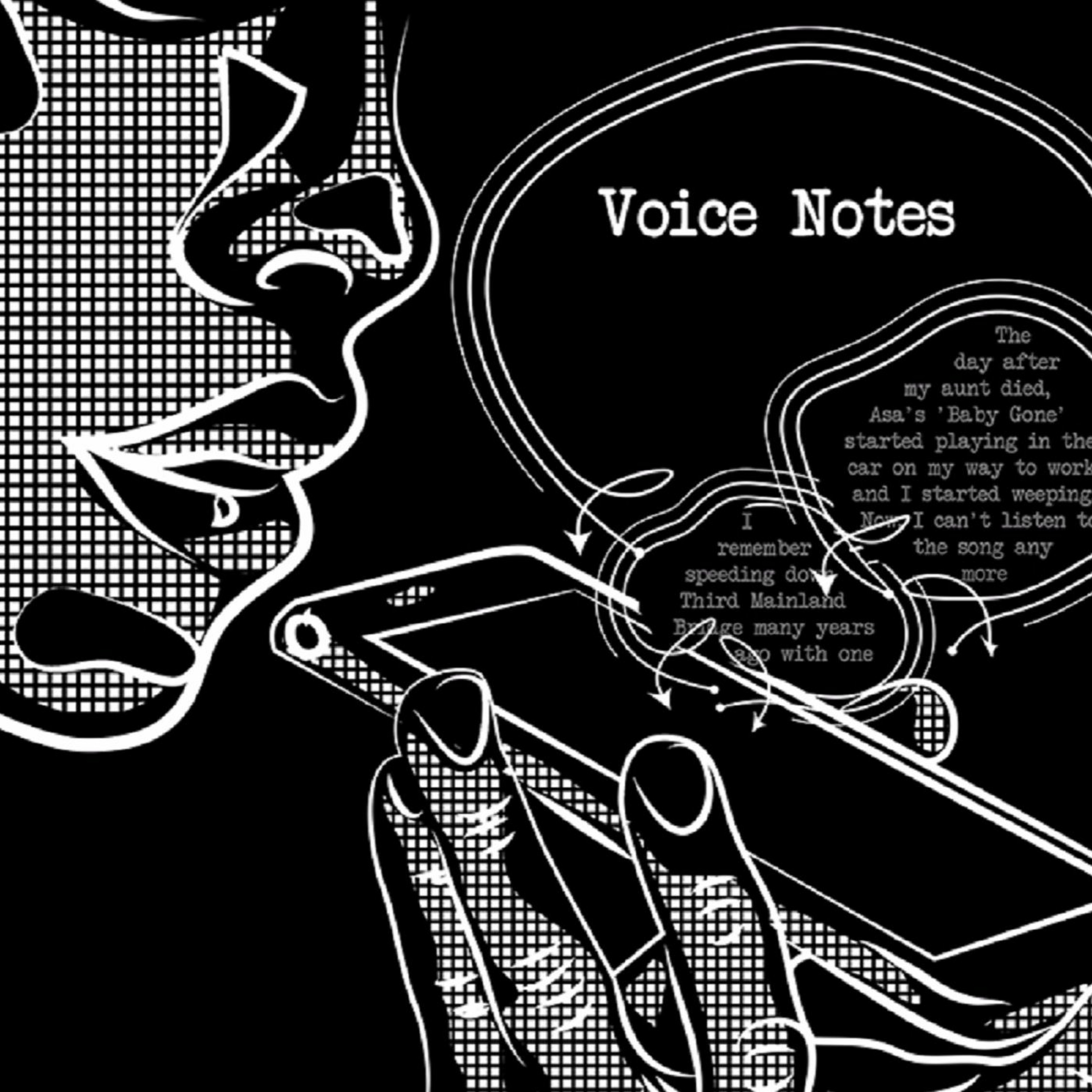Voice Notes 00:09: Warnings! episode artwork
