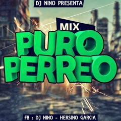 Mix Puro Perreo -  Dj Nino