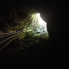 Need 2 (Pinegrove cover)