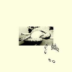 Disc 051: OC 80 - Shelter
