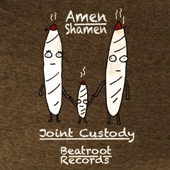 Amen Shamen - Joint Custody