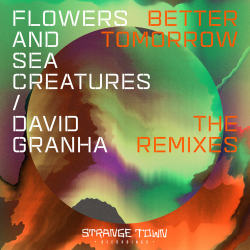 Proton Premiere: David Granha & Flowers and Sea Creatures - Better Tomorrow (Futur-E Remix)