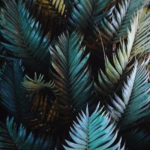 Retto - Hey Mama