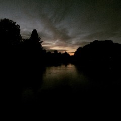 Thames River Morning Woodland Birdsong