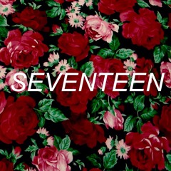 [COVER] Seventeen