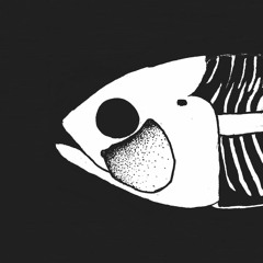 Tuna Fish [Barz Gnarkley x DXXP] - Live @ DXXP SPACE