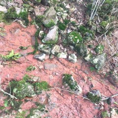 Zone Pélagique #1 - Marx Freud at Cafe Oto (opening DJ set)