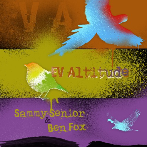 Sammy Senior & Ben Fox - EV Altitude [FREE DOWNLOAD]