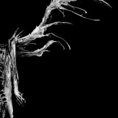 Schism Instrumental Teaser