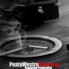 In The Trap - Peaty Westro Feat. Project Pat (Explicit) [Prod. Mexiko Dro]
