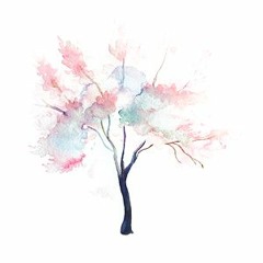 The Lion's Roar - First Aid Kit's Cover -