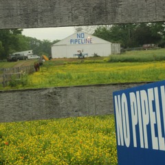 TEASER: Surveyor Trespass