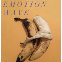 Phullopium Dude Live At Emotion Wave 24:06:17 Edited