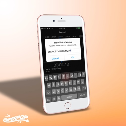 SHMOOZY - VOICE MEMOS