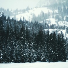 she came from the ocean