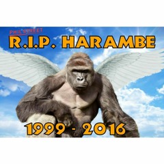 R.I.P. Harambe