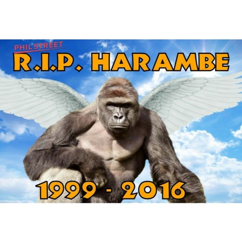 Stream R.I.P. Harambe by Phil Street | Listen online for free on SoundCloud