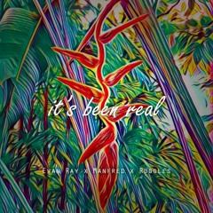 Its Been Real by Evan Ray x Manfred x Ruggles