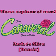 Grupo Cañaveral - Tiene Espinas El Rosal (Andrés Silva Moombahton Remix)